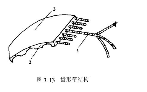 齒形帶傳動(dòng)特征